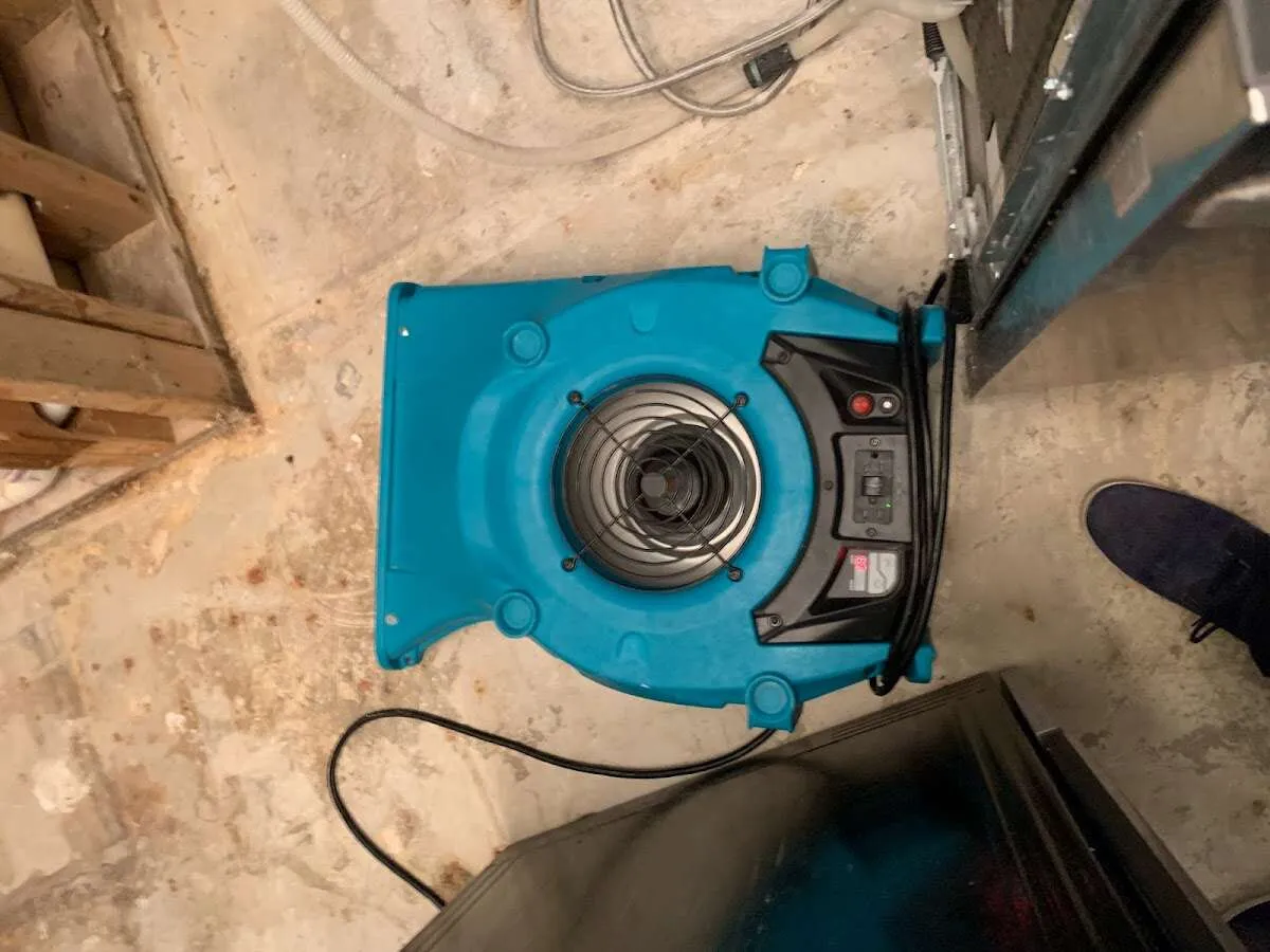 Air mover drying equipment for Mold Remediation & Removal in Minneola