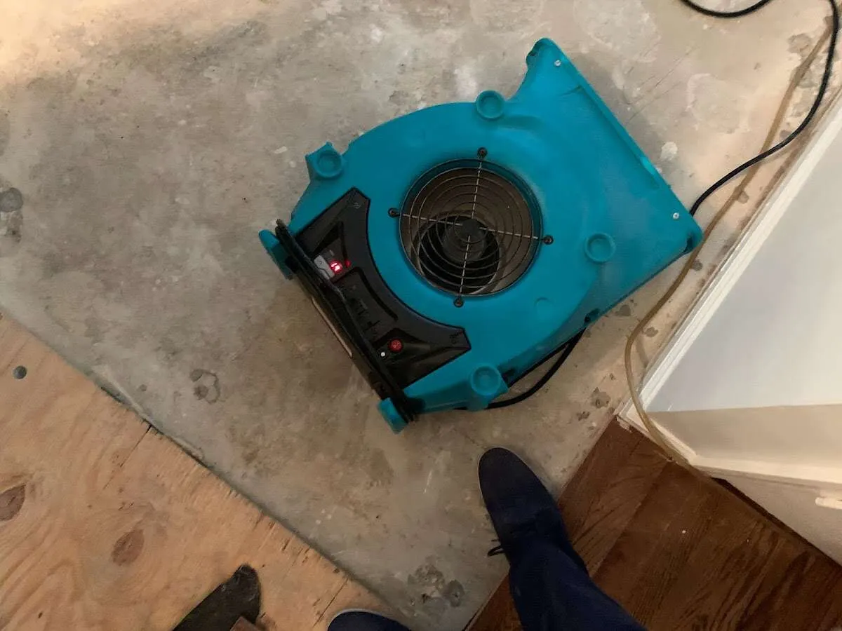 Air mover drying subfloor during Leak Detection & Repair in Minneola